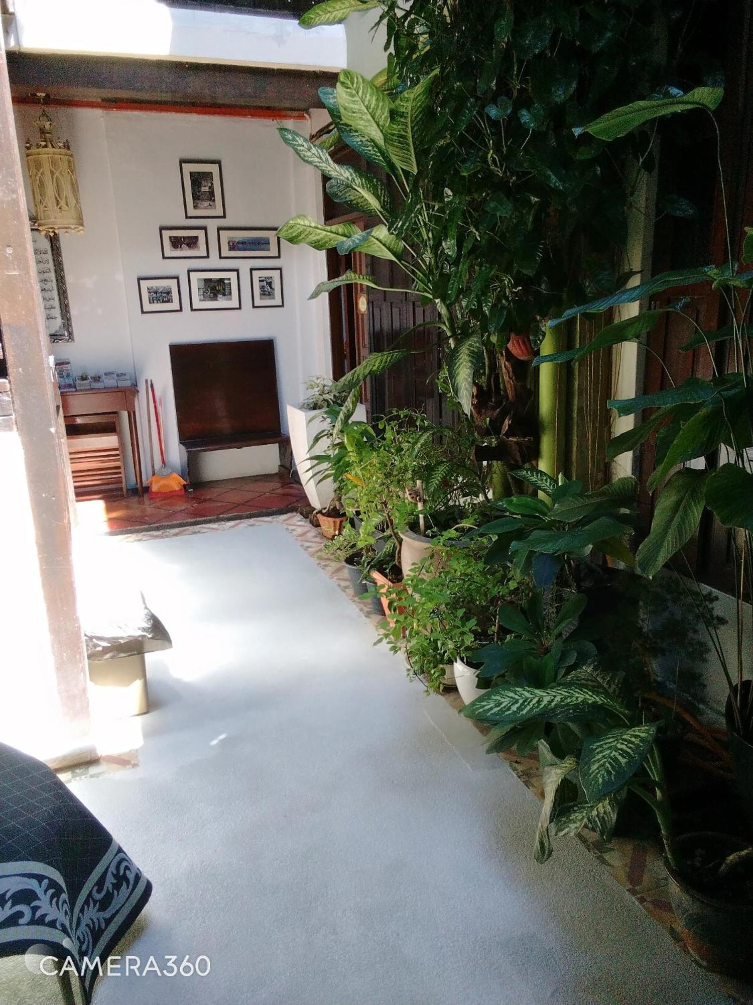 Guest house Cintra House